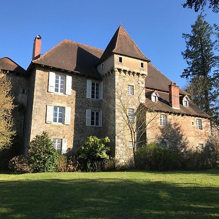 Chateau De Grand Bonnefont Limoges Bagian luar foto