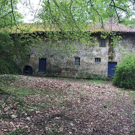 Chateau De Grand Bonnefont Limoges Bagian luar foto